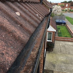 Gutter filled with moss after cleaning, Colchester, Essex